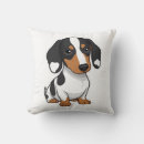 Search for piebald dachshund Pet