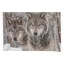 Search for wolves pillowcases Winter