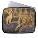 Search for log cases Panthera leo