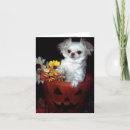 Search for puppy halloween cards Pumpkin