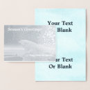 Search for polar bear cards Wildlife