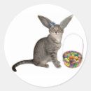 Search for easter kitten stickers Bunny