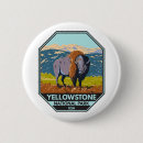 Search for bison badges Yellowstone national park