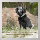 Search for dog quote art Puppy