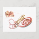 Search for human ear postcards Healthcare