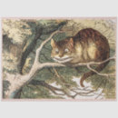 Search for alice in wonderland cheshire cat tissue paper Vintage