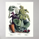 Search for fruit vegetable posters Antique