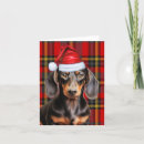Search for doxie christmas cards Pets