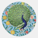 Search for vintage peacock feathers stickers Bird