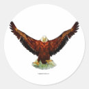 Search for eagle images stickers Raptors