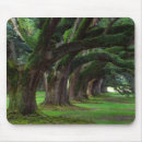 Search for nola mouse mats Louisiana