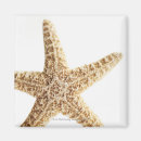 Search for fish magnets Sealife