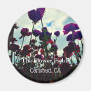 Search for fields magnets Souvenir