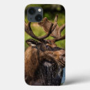 Search for chuck ipad cases Montana
