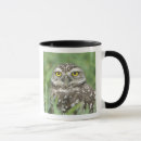 Search for burrowing owl mugs Wildlife