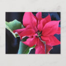 Search for multi region postcards Red