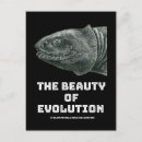 Search for darwin vertical postcards Science