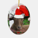 Search for goat christmas decor Pygmy