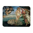 Search for birth magnets Venus