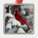 Search for cardinal christmas tree decorations Birds