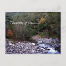 Search for fall tree postcards Scenic