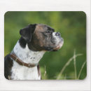 Search for bob mouse mats Profile
