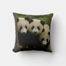 Search for giant panda cushions Habitat loss