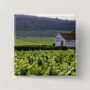 Search for vineyards badges Fertile