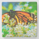 Search for orange coasters Colourful