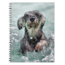 Search for swimming notebooks Dogs