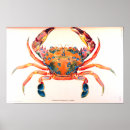 Search for oceanography posters Science