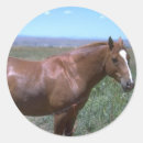Search for chestnut horse stickers Mare