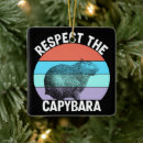 Search for capybara christmas tree decorations Animal