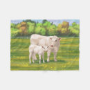 Search for calf blankets Livestock