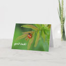 Search for ladybird cards Luck