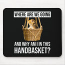 Search for why mouse mats Cat