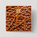 Search for colour effect badges Electron micrography