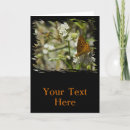 Search for insects photo cards Butterflies