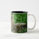 Search for back yard mugs Sitting