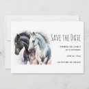 Search for stallion invitations Equine