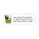 Search for equestrian return address labels Bay horse