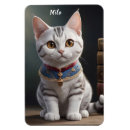 Search for kittis magnets Cats