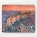 Search for eroded mouse mats Barren