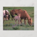 Search for goby postcards Desert