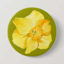 Search for daffodil badges Narcissus