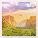 Search for beautiful tree sky coasters Beauty in nature