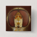 Search for fly badges Animal