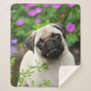 Search for black pug blankets Animal