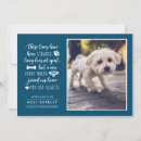 Search for dog adoption invitations Modern