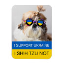 Search for lap magnets Dog